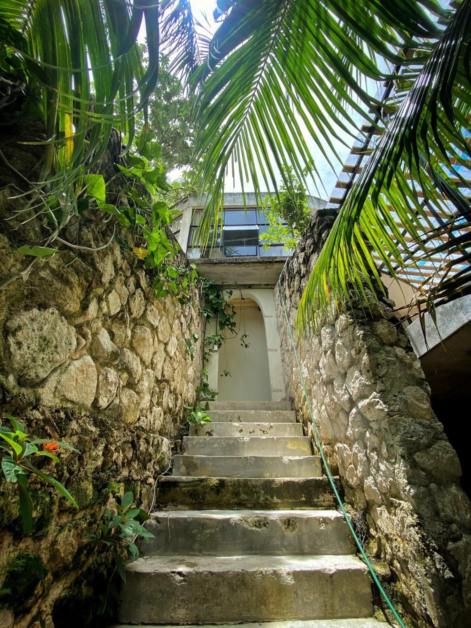 Elmar Hostel Bacalar Exteriör bild
